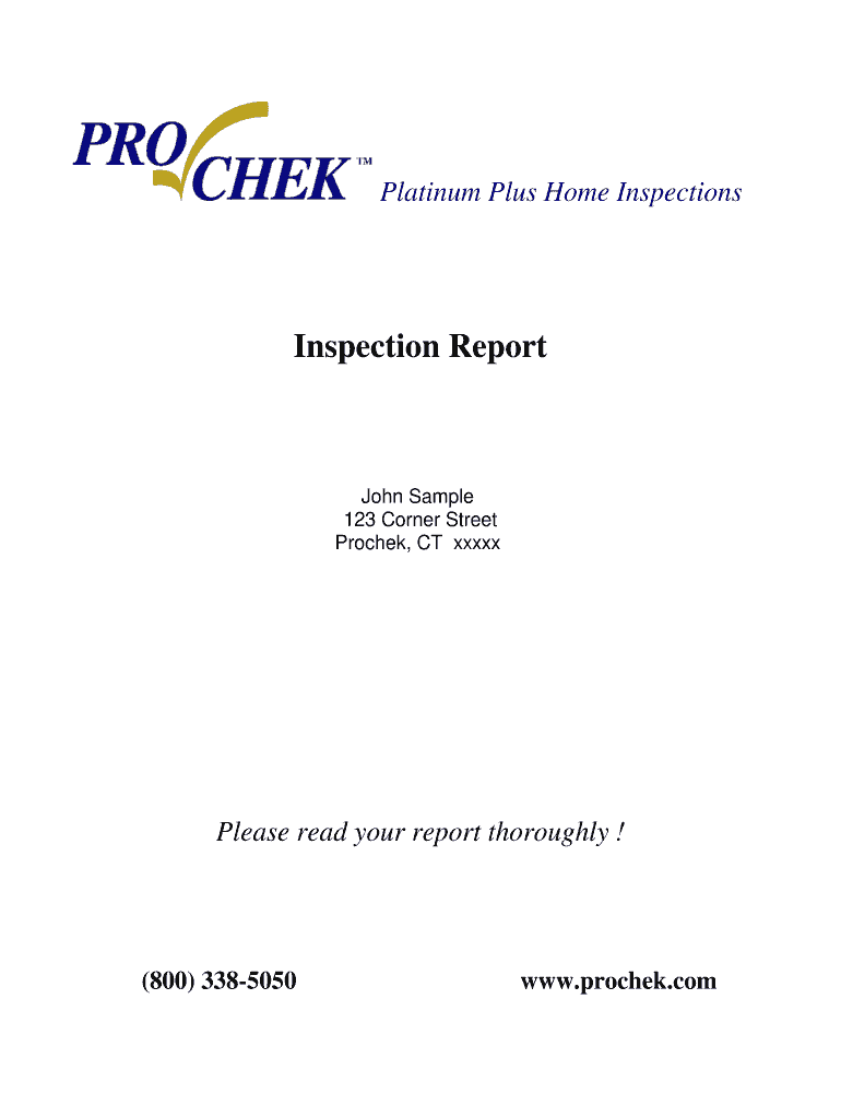 Inspection Report Template DOC  Form