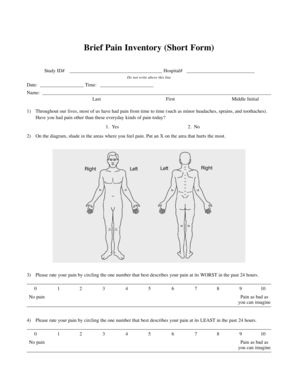 Brief Pain Inventory  Form