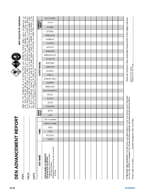 What is Pack Advancement Report Number 33847 Form