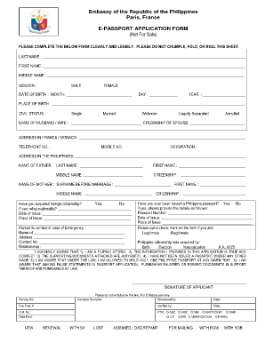 French Passport Application Form PDF