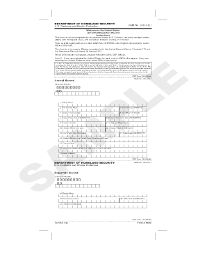 Fill I 94 Form Online