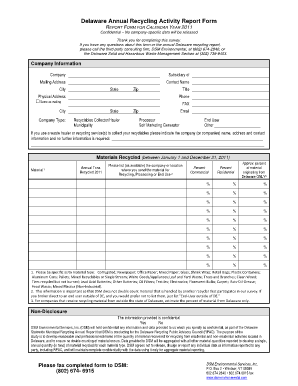 Delaware Annual Report Example  Form