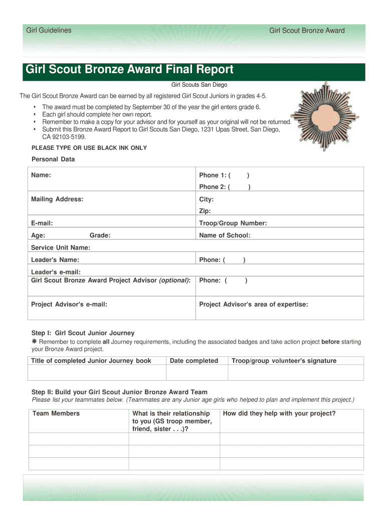 Girl Scout Bronze Award Final Report Form