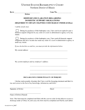 Domestic Support Obligation Form