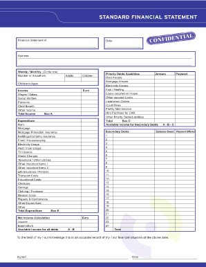 STANDARD FINANCIAL STATEMENT Mabs  Form