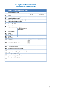 Standard Financial Statement Template  Form