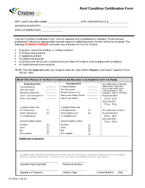 Cit Rcf 1  Form