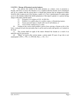 Ncgs 14 315 1  Form