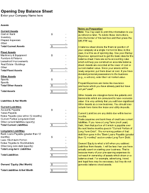 Opening Day Balance Sheet  Form