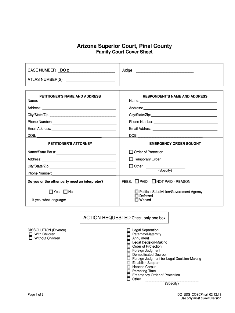 Petition Paternity Parenting  Form