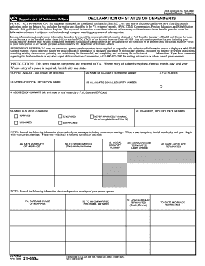 Filling Out Form 2900 0043