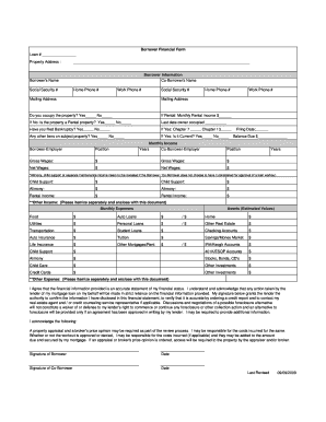 Hsbc Personal Financial Statement Template  Form