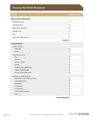 Charles Schwab Net Worth Worksheet  Form