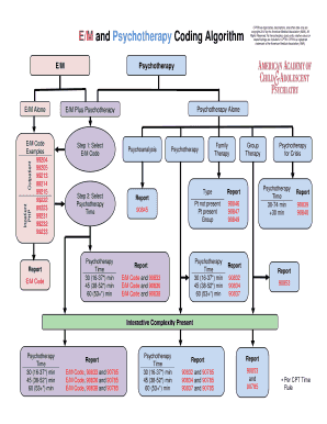 E M and Psychotherapy Coding Algorithm  Form