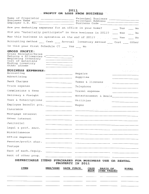 Dhhs Nh Forms Profit and Loss