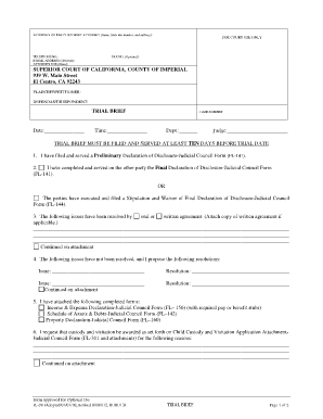 Fl 08 Trial Brief  Form