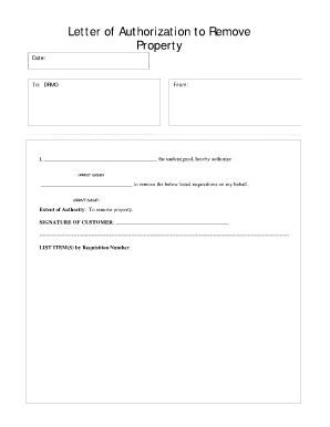Letter of Authorization Form