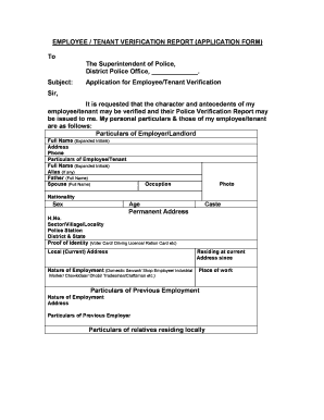 Verification Report Format