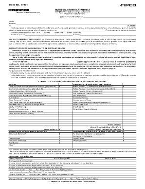 Individual Financial Statement  Form