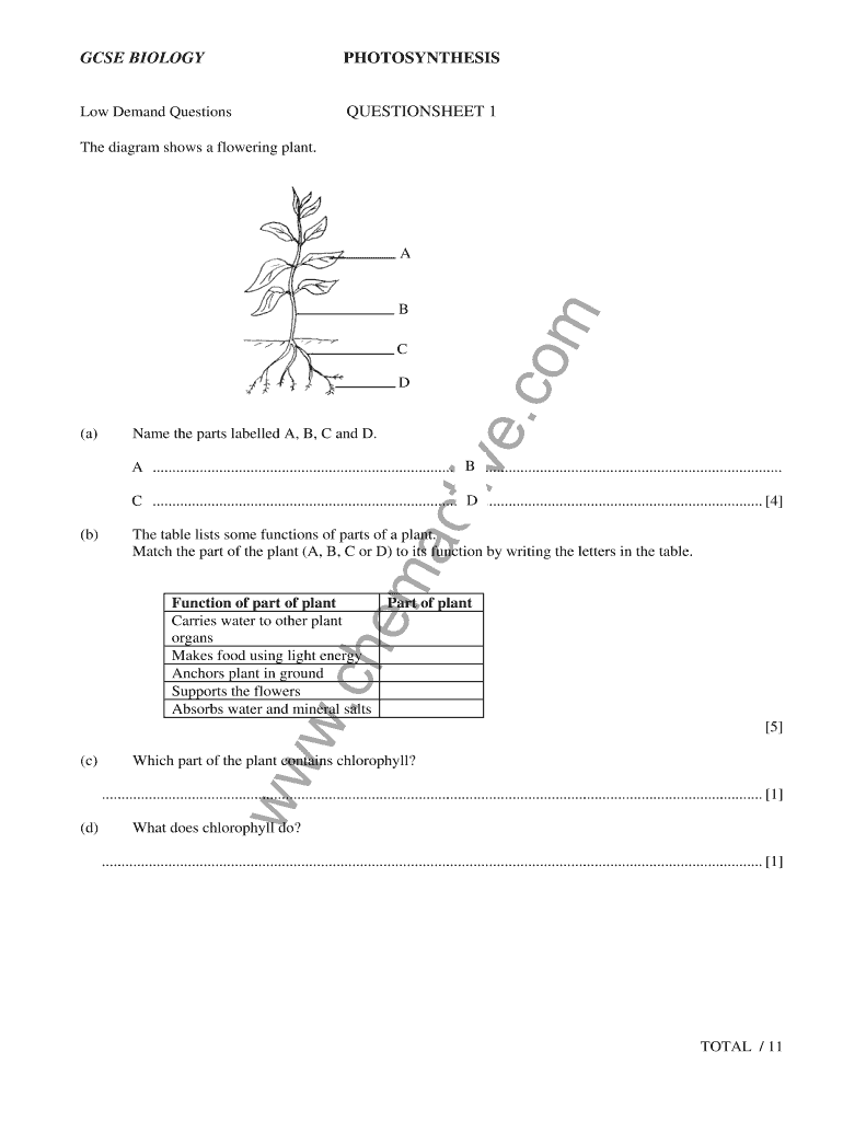 Chemactivecom Form