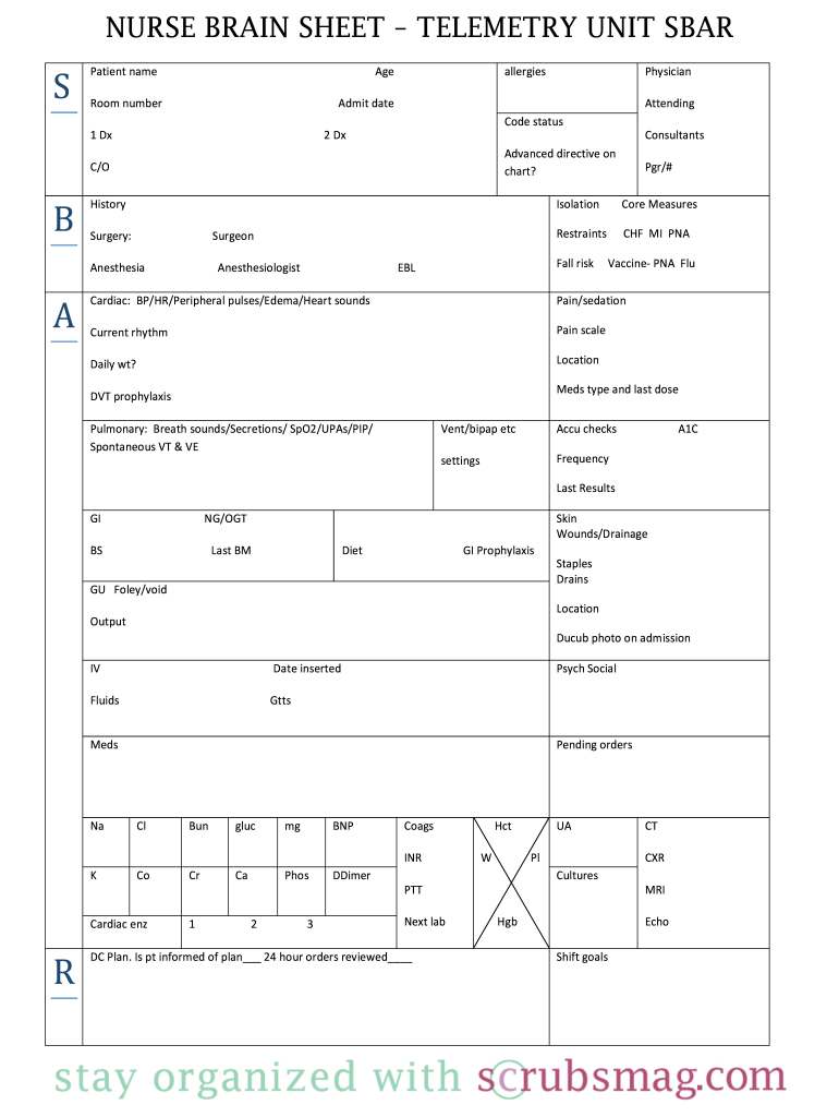 Nurse Brain Sheet Editable  Form