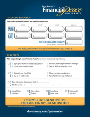 Dave Ramsey Financial Snapshot Card  Form