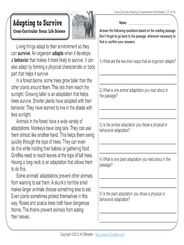 Animal Adaptations Worksheets PDF  Form