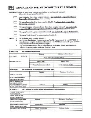 P9 Form Template