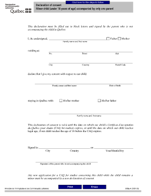 Declaration of Consent Example  Form