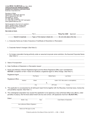 Illinois Bca 45  Form