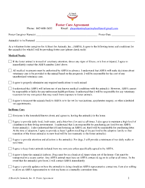 Foster Care Agreement Template  Form
