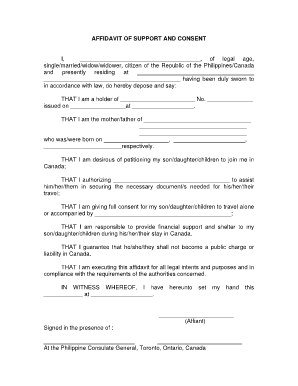Affidavit of Support and Consent Sample  Form