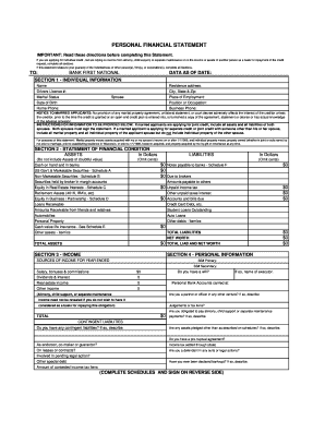 Personal Financial Statement PDF Bank First National  Form