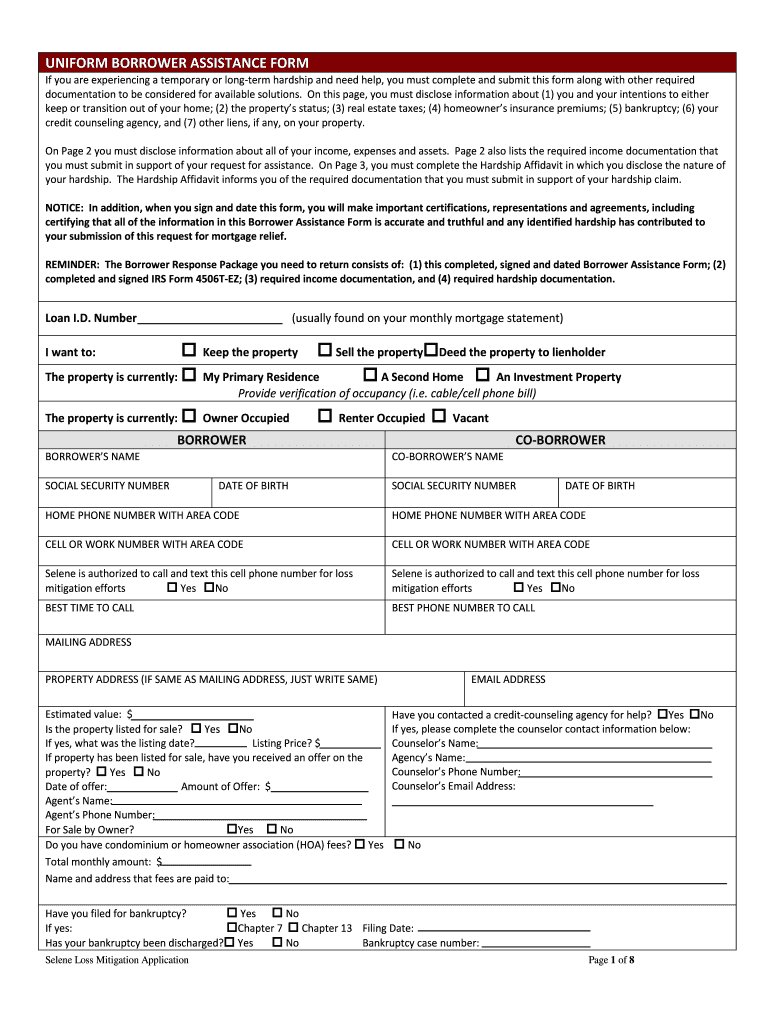 Customer Assistance 2 Borrower Form