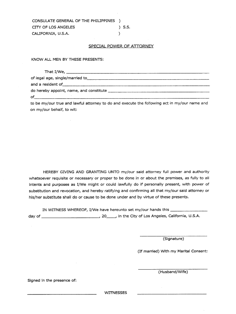 Special Power of Attorney Form - Fill Out and Sign Printable PDF