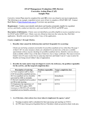 Action Plan Email Sample  Form