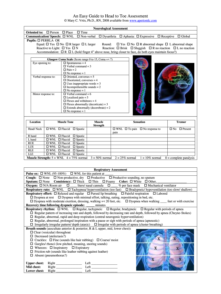 Printable Head to Toe Assessment Form PDF