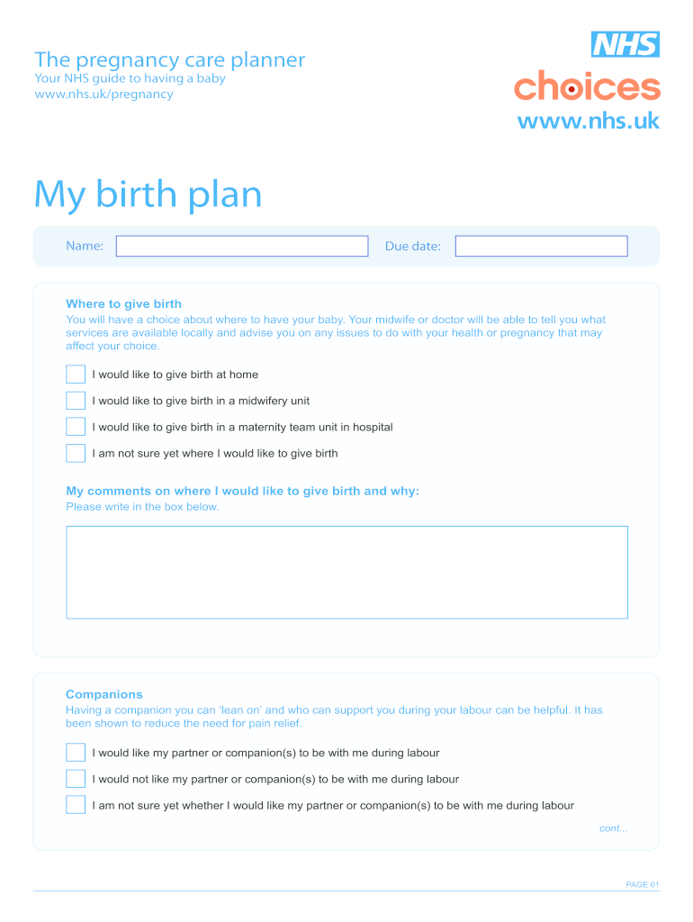 Birth Plan Template Uk  Form