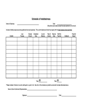 What is Schedule of Indebtedness  Form