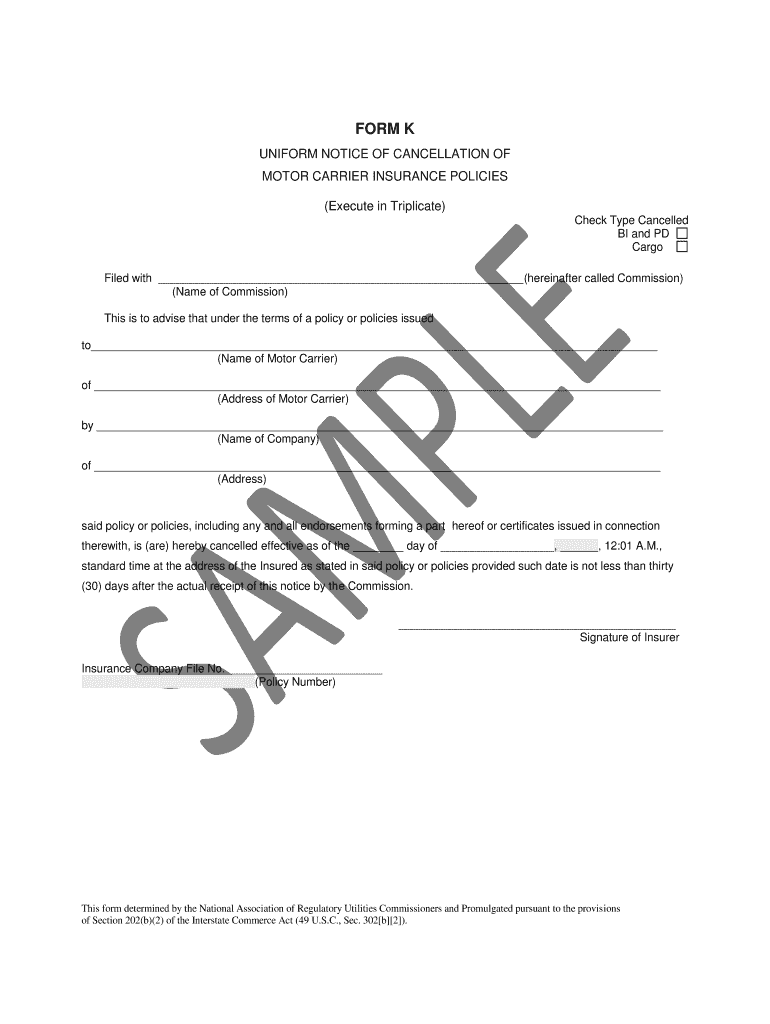 Form H Cargo Filing