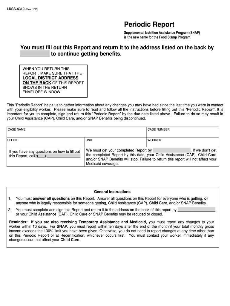  Snap Periodic Report Ny 2013-2024