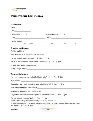 Sky Zone Online Application  Form