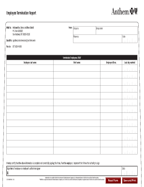 Employee Termination Report  Form