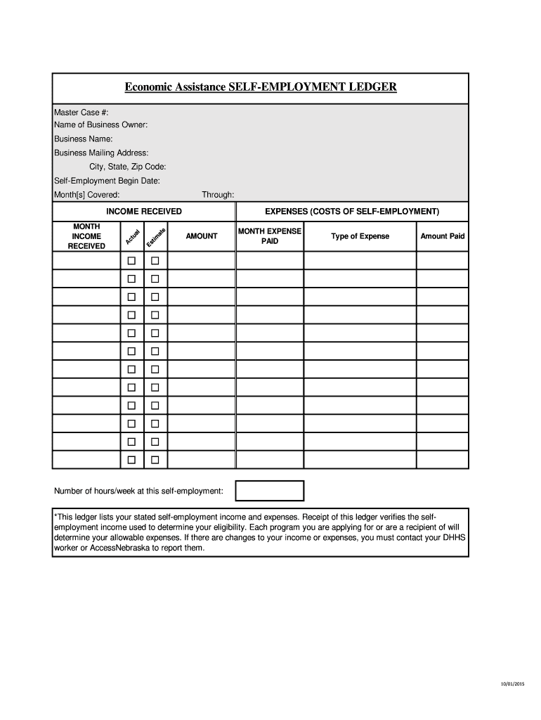  Self Employment Ledger 2010-2024