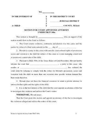 Rule 308a Appointment of Attorney Texas  Form