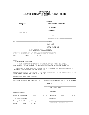 SUBPOENA SUMMIT COUNTY COMMON PLEAS COURT  Form