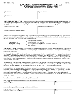 Snap Authorized Representative Form Nyc