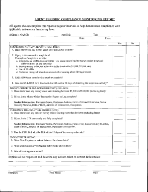 Aml Independent Review Template  Form