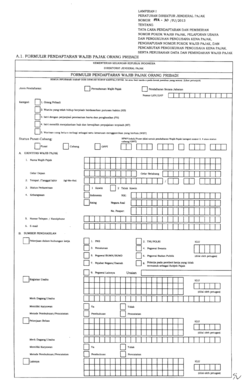 Contoh Isi Formulir Npwp Online