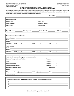 Dhs Wisconsin  Form